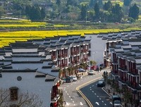 最全的《(足球)爱你如诗美丽》好段摘抄