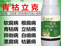 半夏句子