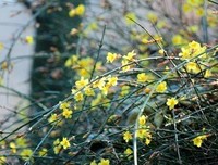 花满看自有成秋句子