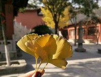 名家风范句子大全