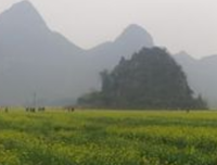 《羞羞的铁拳》影评摘抄