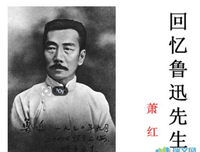 《我的名字叫回忆》读后感精选