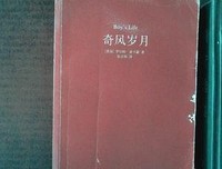《奇风岁月》读后感精选