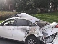 关于九死一生的格言
