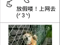 关于差强人意的名言