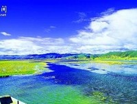 混日子的句子