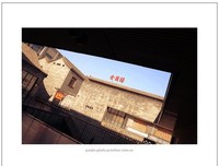 陪我走过那条街