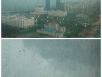 酒馆公告栏 | “ 江湖之大，别走丢啦，记得回家 ”