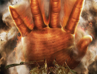 《包小姐的包》好看吗？经典观后感锦集