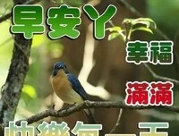 姓氏心语