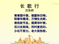 葵的句子