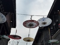 种太阳：感谢有你