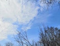 你们和父母住一起，会有哪些摩擦？