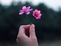 纵有三千烦恼，不如拈花一笑