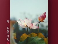 雨语