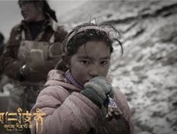 《王国之路》影评100字