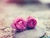 人生现下外的优美句子