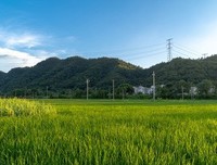 关于心。缘的优美句子