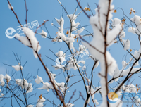 用什么暖你一千好四这的优美句子