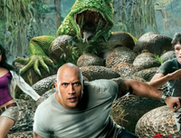 《蜜蜂与远雷》的观后感大全