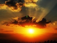 影影子优美的句子