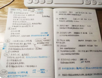 《我爱二次元》经典观后感集