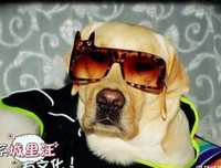 《这些上他，不敢对你说》的句子