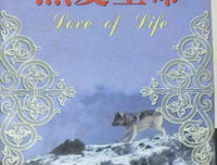 生命的旅程：从鱼到人读后感1000字