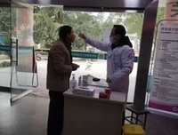 归桐读后感100字