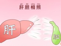 关于肝胆相照名言名句