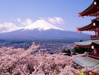 描写趋之若鹜的经典句子