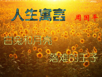 周国平经典的句子