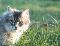 励志经典的句子