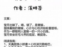 【替嫁】【哑巴受】《鹤翎银扁》by Hairyleg