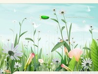 《郭敬明》的句子