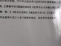 村上春树的优美句子