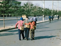 再见了，我的中学时代