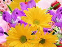 有关相互之间的美句摘抄