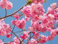 描写不大不小的语句摘抄