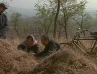 关于凤毛麟角的名句摘抄
