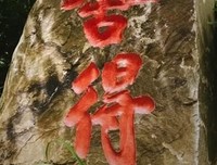 董小姐｜一瓢冷水