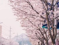 有关魂牵梦绕的美句摘抄