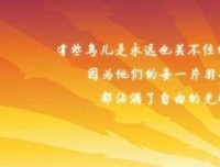 冲锋陷阵的语句摘抄_关于冲锋陷阵的语句