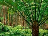 意境经典的句子