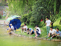 关于劳逸结合的名言