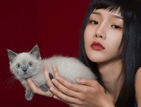 冷若冰霜的句子