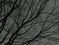 “人间本不该令我这么欣喜的，但是你来了” ​​​​