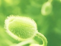 微信潜规则：你发的朋友圈，别人根本看不到