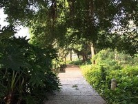 那心过心灵的句子