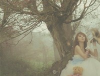花开的声音